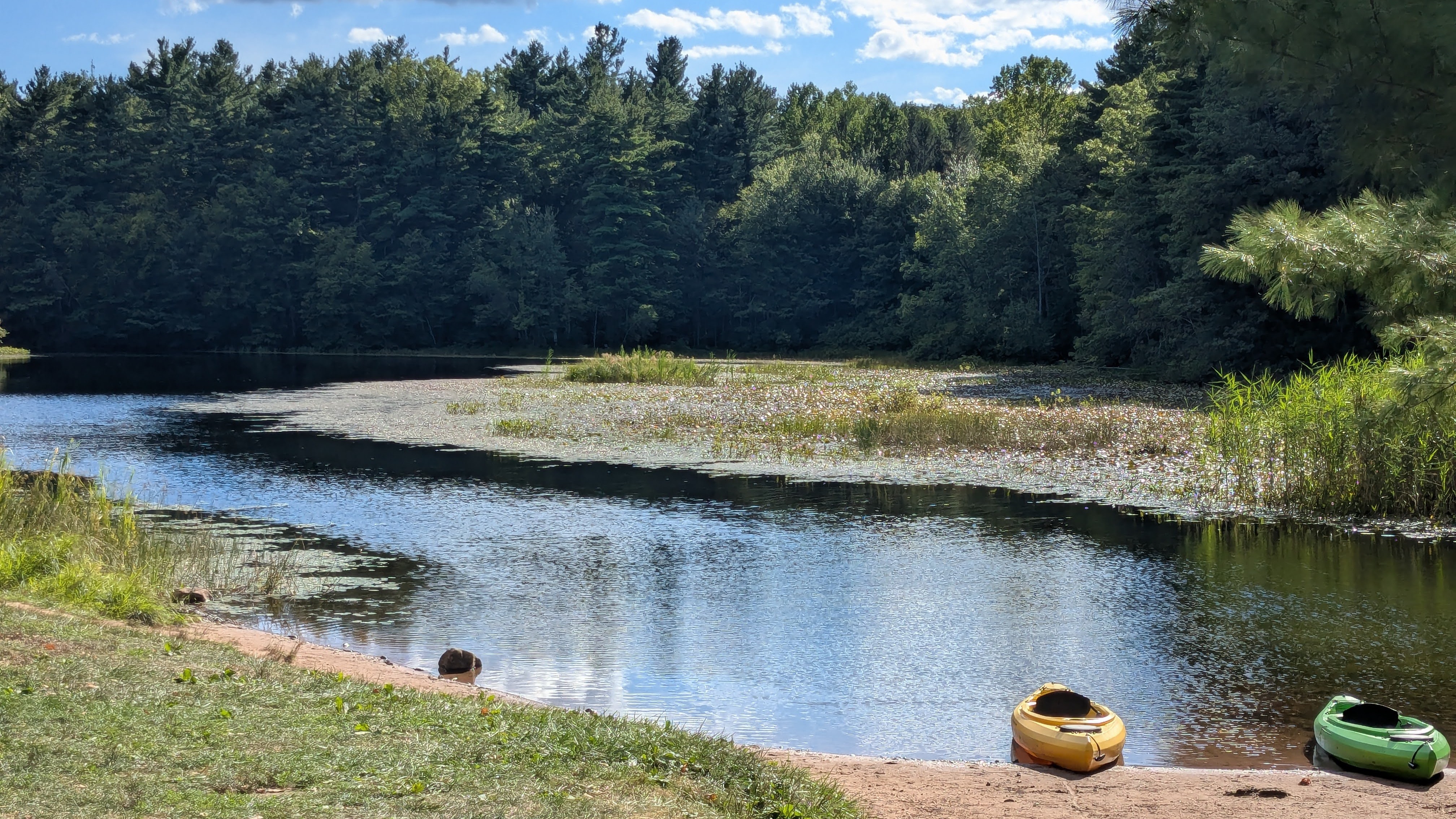 Lake in West Rock Park, New Haven